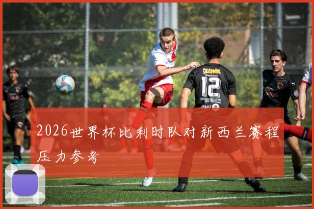 2026世界杯比利时队对新西兰赛程压力参考