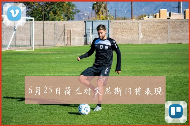 6月25日荷兰对突尼斯门将表现