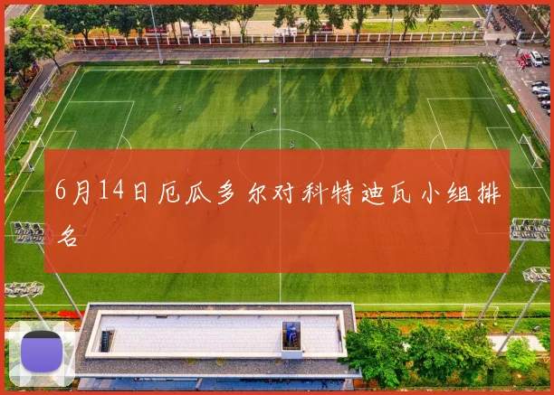 6月14日厄瓜多尔对科特迪瓦小组排名