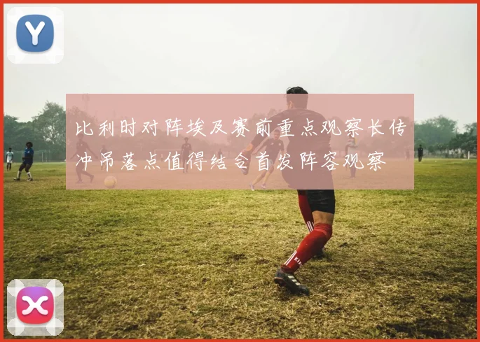 比利时对阵埃及赛前重点观察长传冲吊落点值得结合首发阵容观察